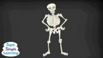 The Skeleton Dance / İskelet Dansı