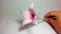 Kağıt Sanatı - Zarif Zambak Çiçeği Yapımı