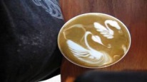 Kahve Sanatı - Hoş Kuğu Tasarımı