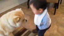 Bebeğin Köpek İle İlginç Sohbet Etmesi